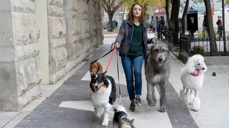 Bir Köpeğin Serüveni sahne 1