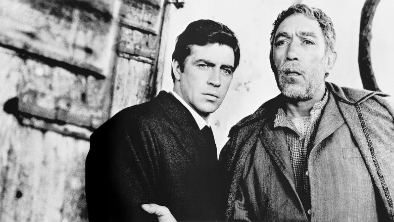 Zorba sahne 6